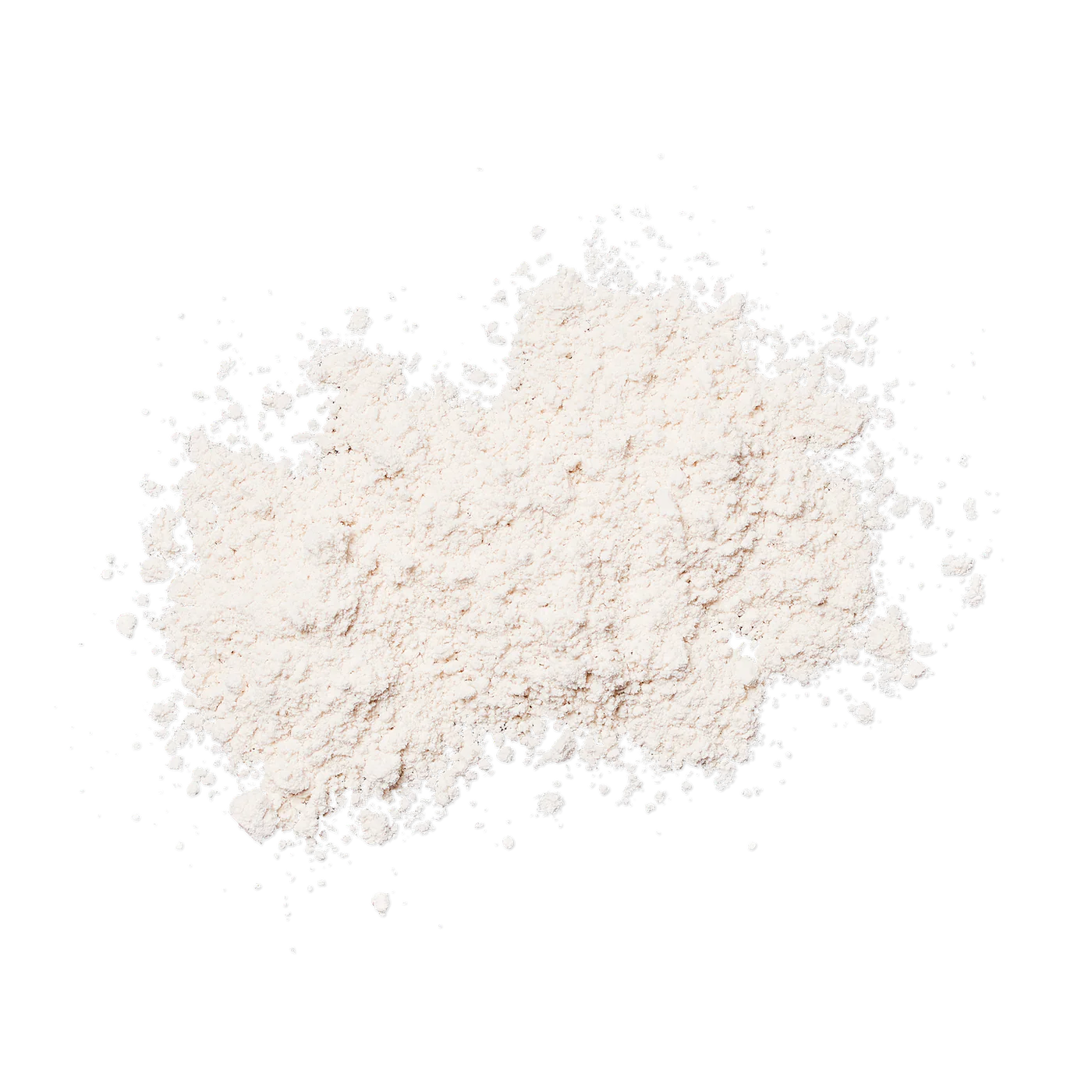 Sunforgettable Total Protection Brush-On shield