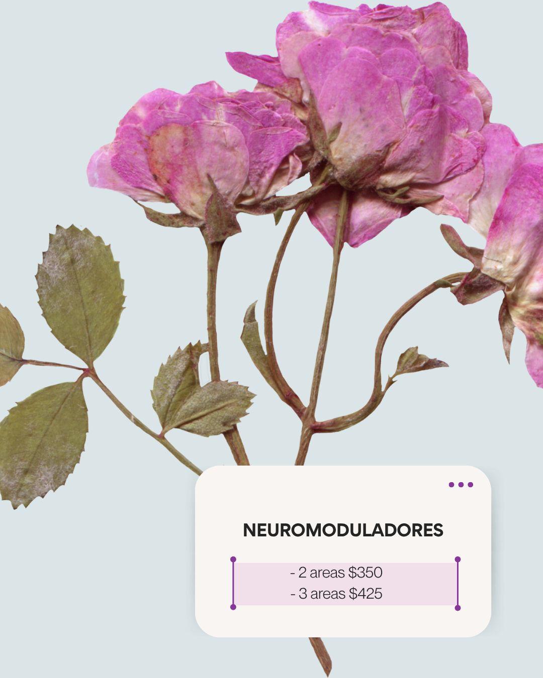 Neuromoduladores